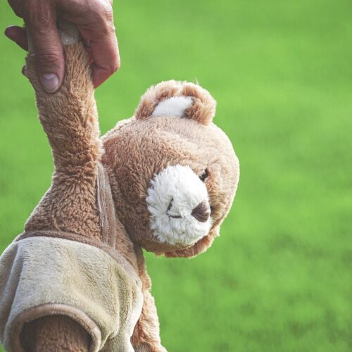 Forever Hugs: Why Stuffed Animals Still Hold Our Hearts